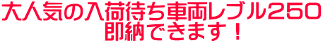 大人気の入荷待ち車両レブル250 即納できます!