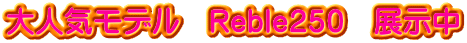 大人気モデル Reble250 展示中