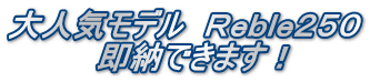 大人気モデル Reble250 即納できます!