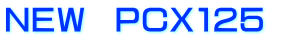 NEW PCX125