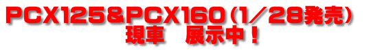 PCX125&PCX160(1/28発売) 現車 展示中!